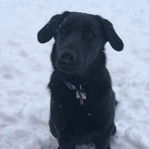 Meet your Posher, Kacey